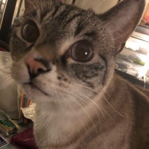 Meet your Posher, Haley